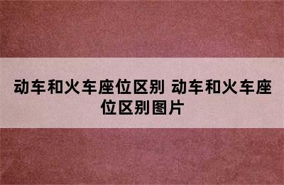 动车和火车座位区别 动车和火车座位区别图片